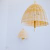 Natural Rattan Pendant Lamp with Brass and Beech Wood