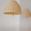 Natural Rattan Pendant Lamp with Brass and Beech Wood