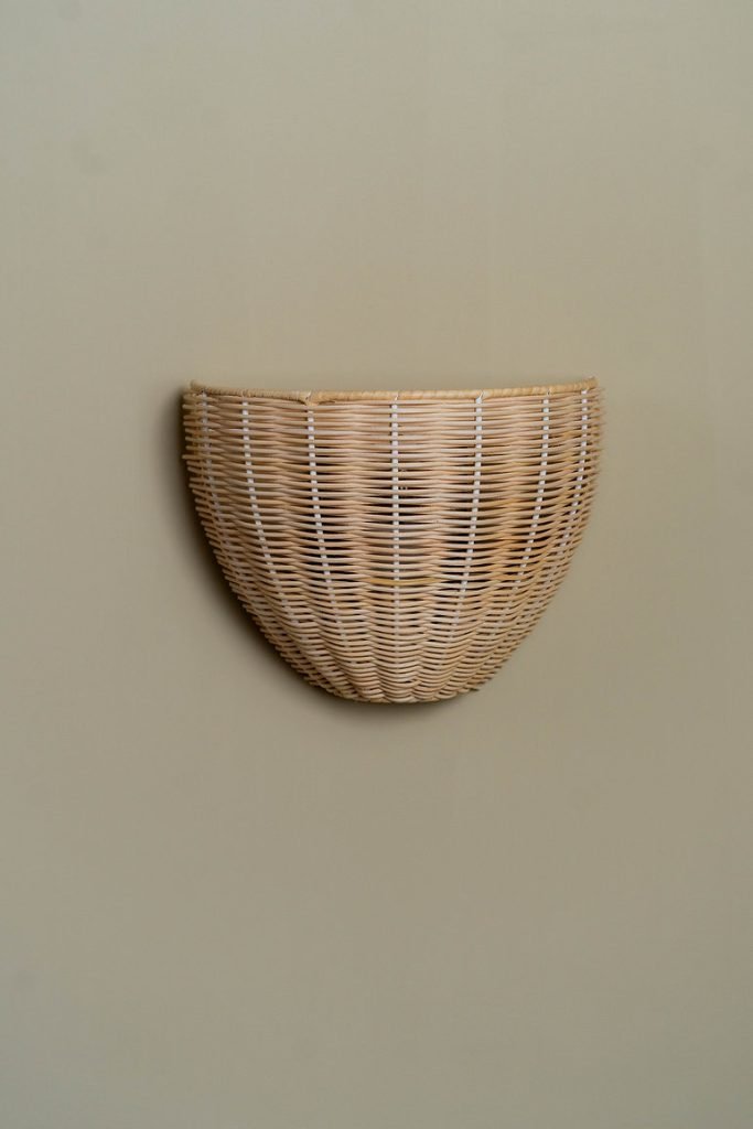 Costa Shell Wall Sconce in Rattan