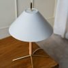 VOL Table Lamp with White Fabric Shade, Polished Brass Base, and Beech Wood